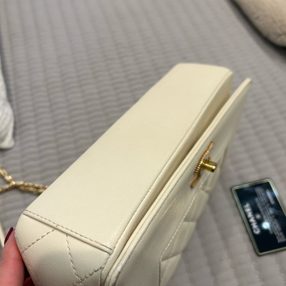 CHANEL
Sheepskin Quilted Medium Vintage Mademoiselle Flap bag - Picture 2 of 12